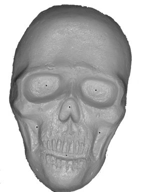 Vacuum Forming Mold - Human Skull 5”x8”